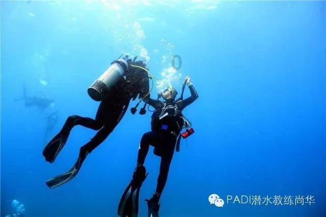 深入了解ln函数的性质是什么？，畅享知识星球平台